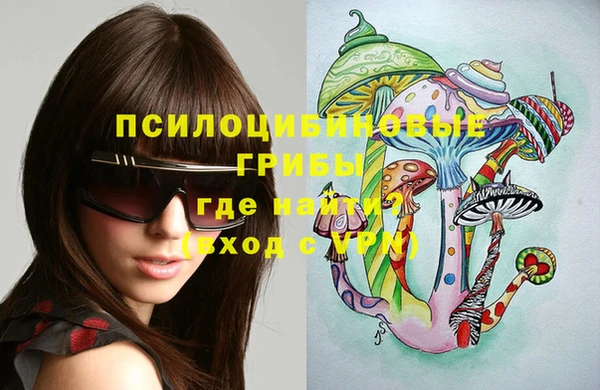 СК Кулебаки