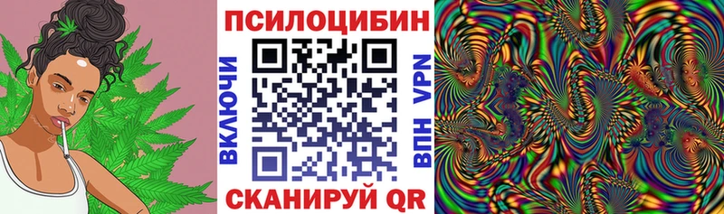 Галлюциногенные грибы мицелий  Купить  Луза 
