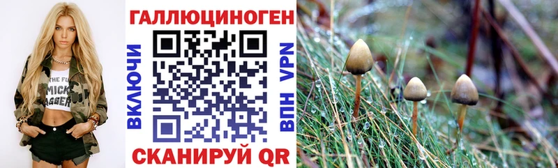 Псилоцибиновые грибы Psilocybine cubensis Луза